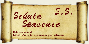 Sekula Spasenić vizit kartica